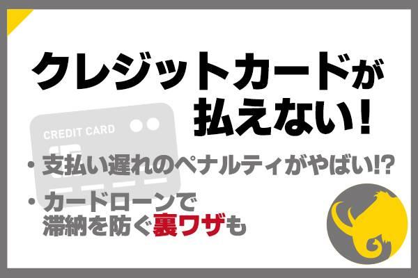 クレジットカードが払えない！支払い遅れでどうなるか＆対策を解説