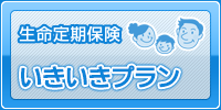 転ばぬ先の杖