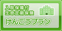 けんこうプラン