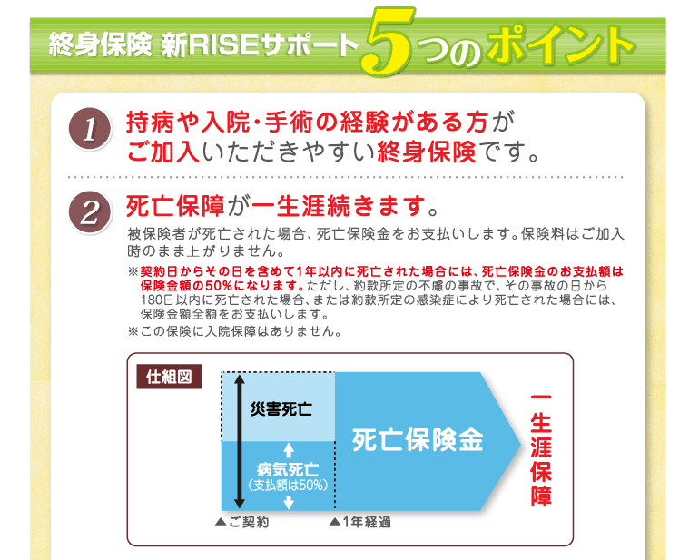 終身保険 新RISEサポート5つのポイント