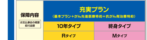 保障内容 充実プラン