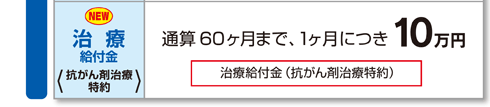 治療給付金〈抗がん剤治療特約〉