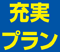充実プラン