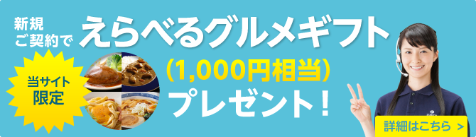 ごはんマイスター厳選のお米（600g）プレゼント・キャンペーン