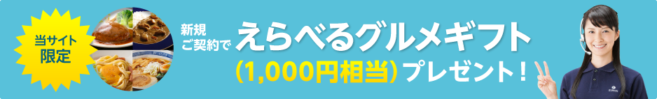 【ごはんマイスター厳選のお米（600g）プレゼント・キャンペーン】新規ご契約で1,000円分！