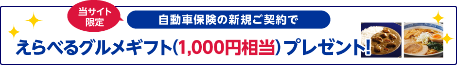 当サイト限定で自動車保険の新規ご契約でごはんマイスター厳選のお米（600g）プレゼント！
