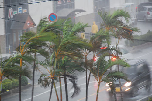 台風による被害