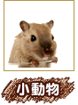 小動物