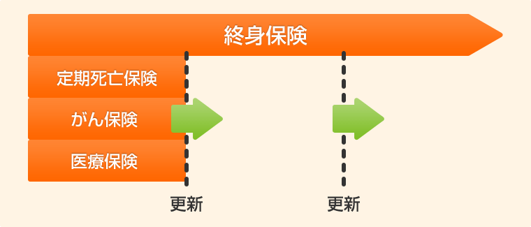 定期特約付終身保険 イメージ
